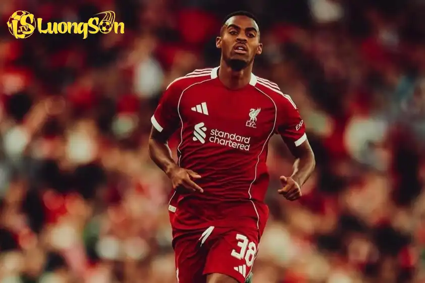 Các CĐV Liverpool 